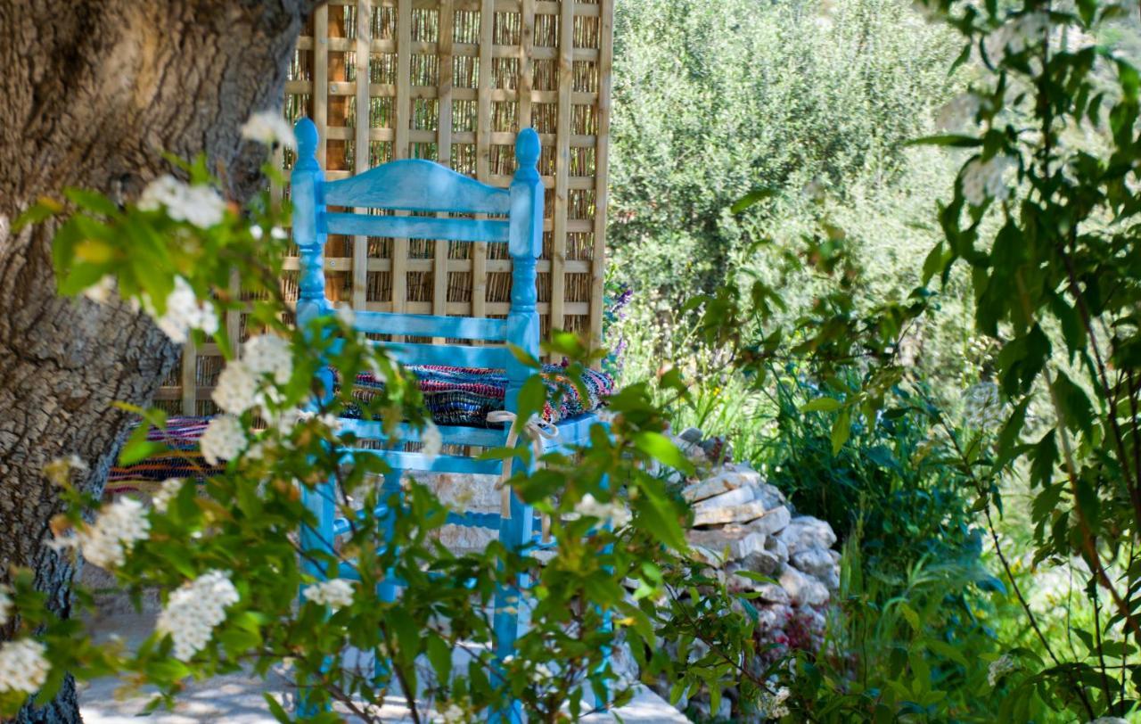 The Olive Cottage - Ithaca Vathí - Ítaca Exterior foto