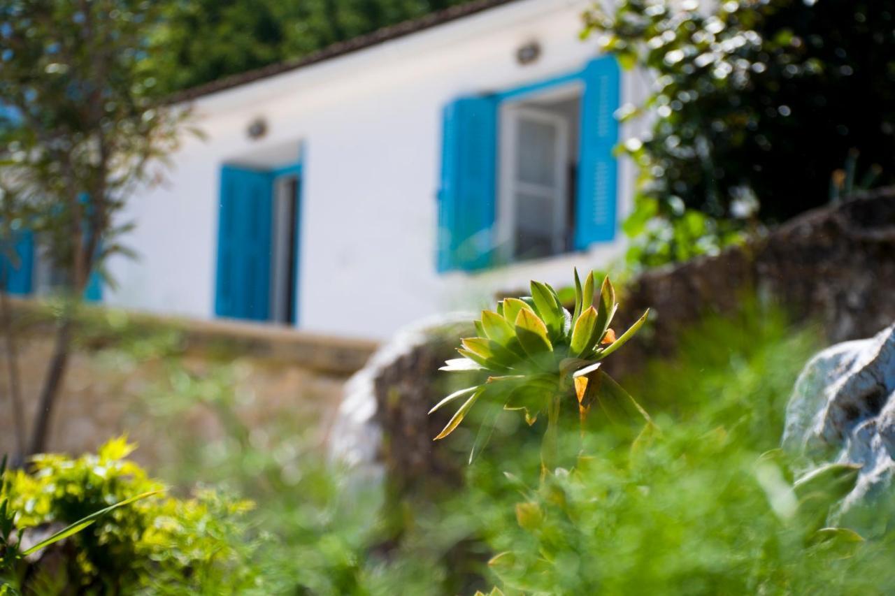 The Olive Cottage - Ithaca Vathí - Ítaca Exterior foto